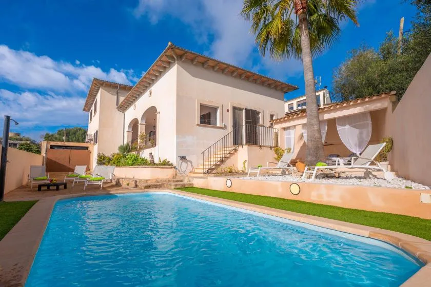 A swimming pool beside a white house, with lounge seating and a palm tree.