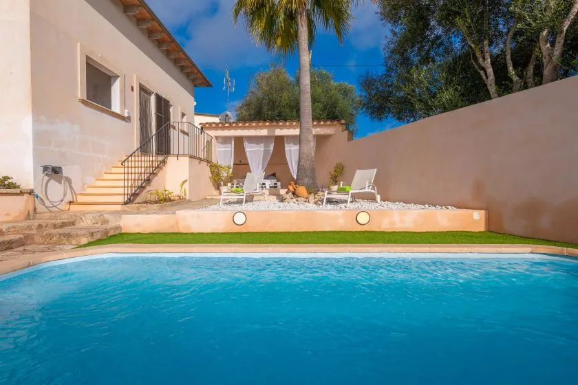 A swimming pool beside a patio with outdoor seating and a palm tree.