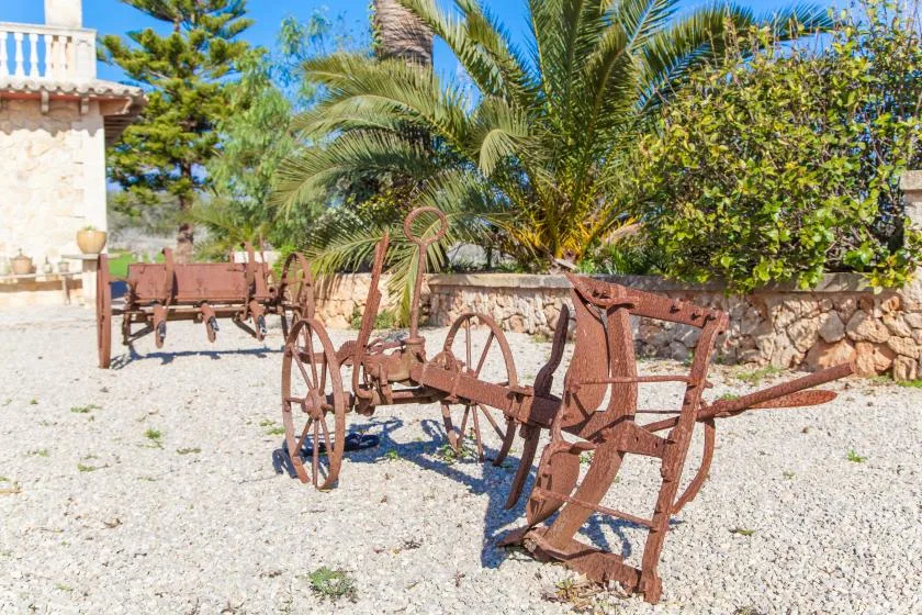 A gravel courtyard with rustic metal carts and palm trees.