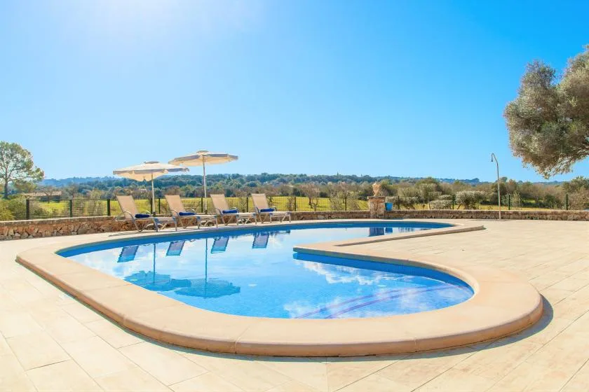 A curved outdoor swimming pool sits on a sunny paved terrace.