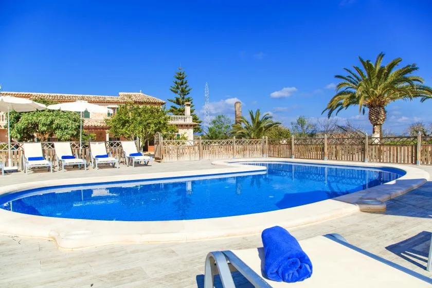 A swimming pool beside a sunny patio with loungers and palm trees.
