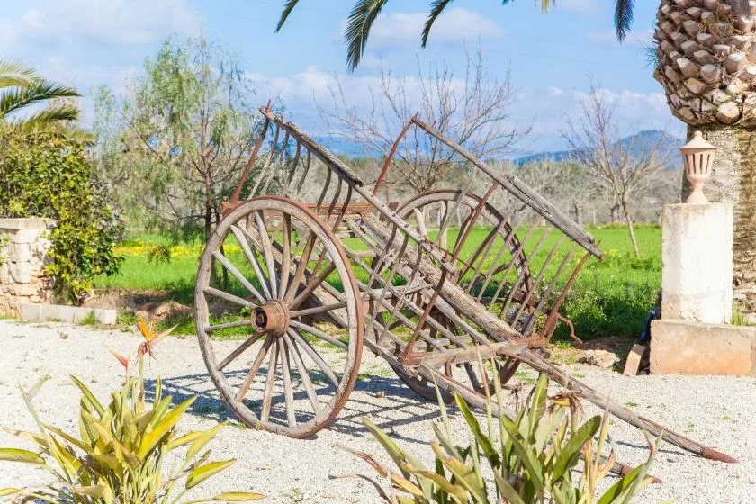 A rustic wooden cart stands in a garden with green fields beyond.