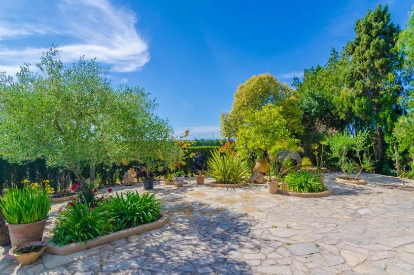 Un patio pavimentado está rodeado de árboles frondosos y parterres.