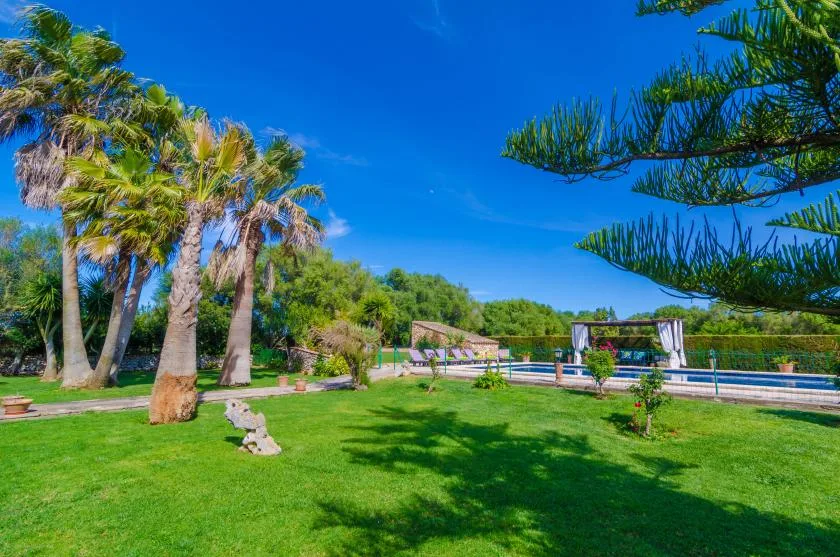 Un jardín con palmeras y una piscina bajo un cielo azul despejado.