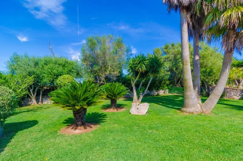 Un jardín soleado con un amplio césped verde y árboles tropicales.