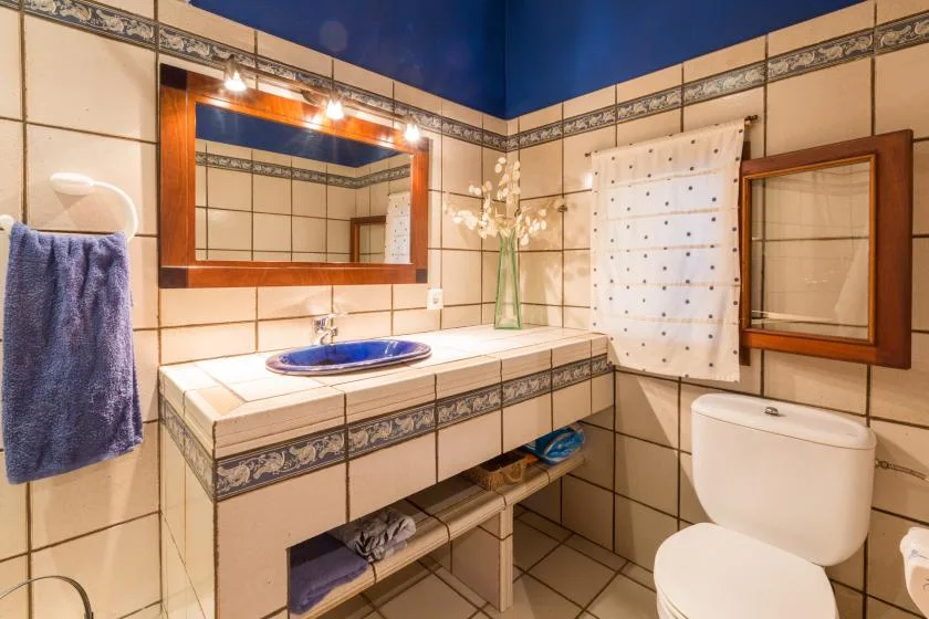 Un baño alicatado con un amplio tocador, espejo y cortina de ducha.
