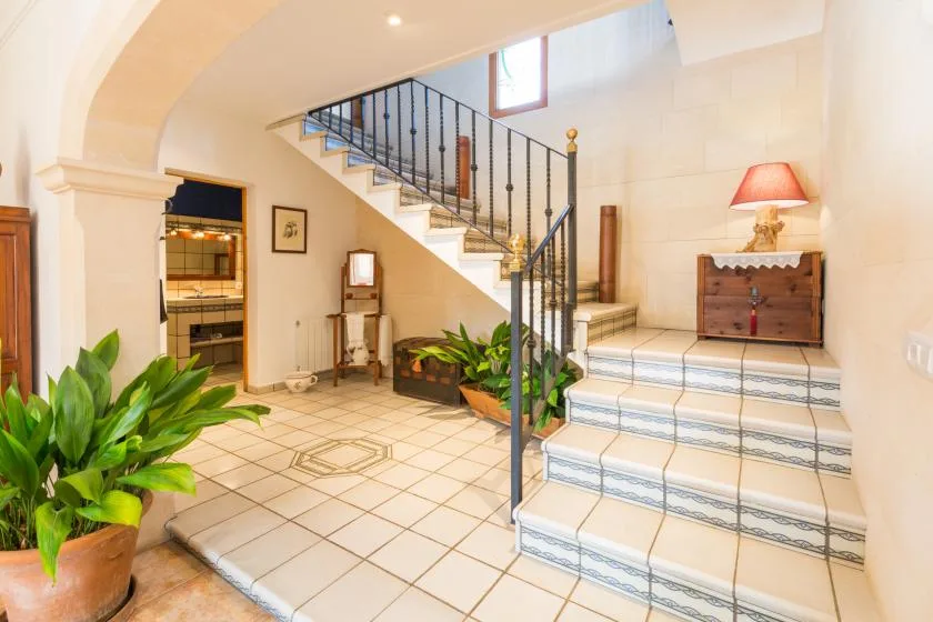 Una escalera interior de azulejos con barandilla metálica oscura y plantas en macetas.