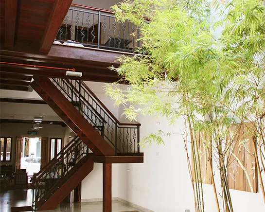 Zona del hotel