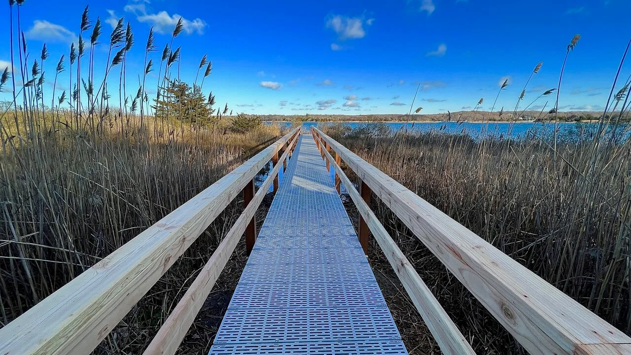 Una pasarela elevada cruza hierbas altas hacia una extensión de agua bajo un cielo azul.