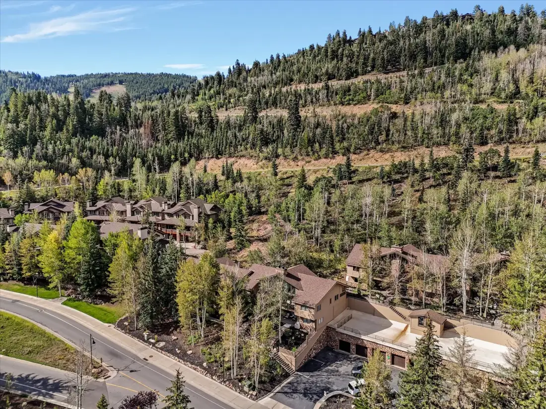 Aerial view of homes among trees on a wooded hillside.