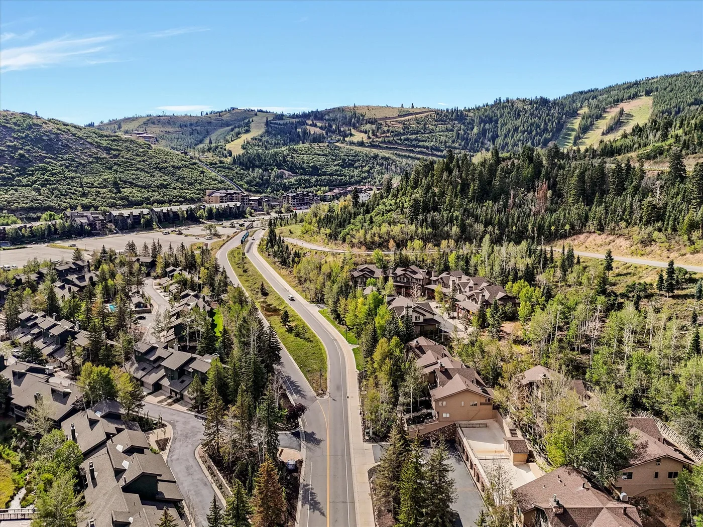 A winding road runs through a hillside neighborhood surrounded by trees.