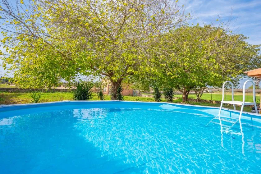 An outdoor swimming pool sits beneath leafy trees in a sunny garden.