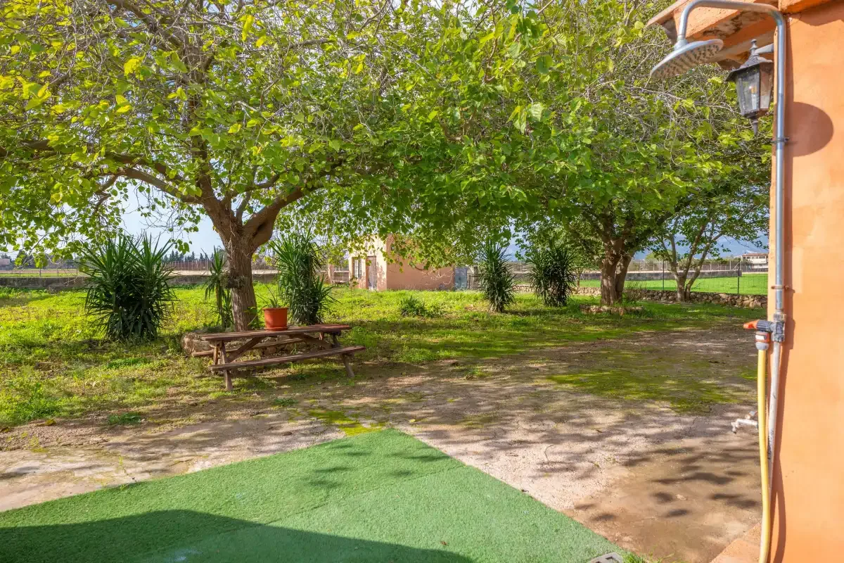 A shaded garden with trees, a picnic table, and a paved path.
