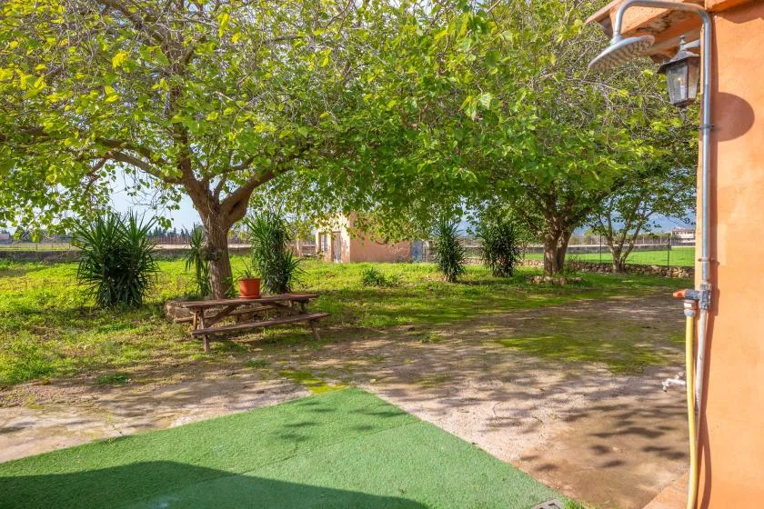 A shaded outdoor seating area with trees and a picnic table beside a building.