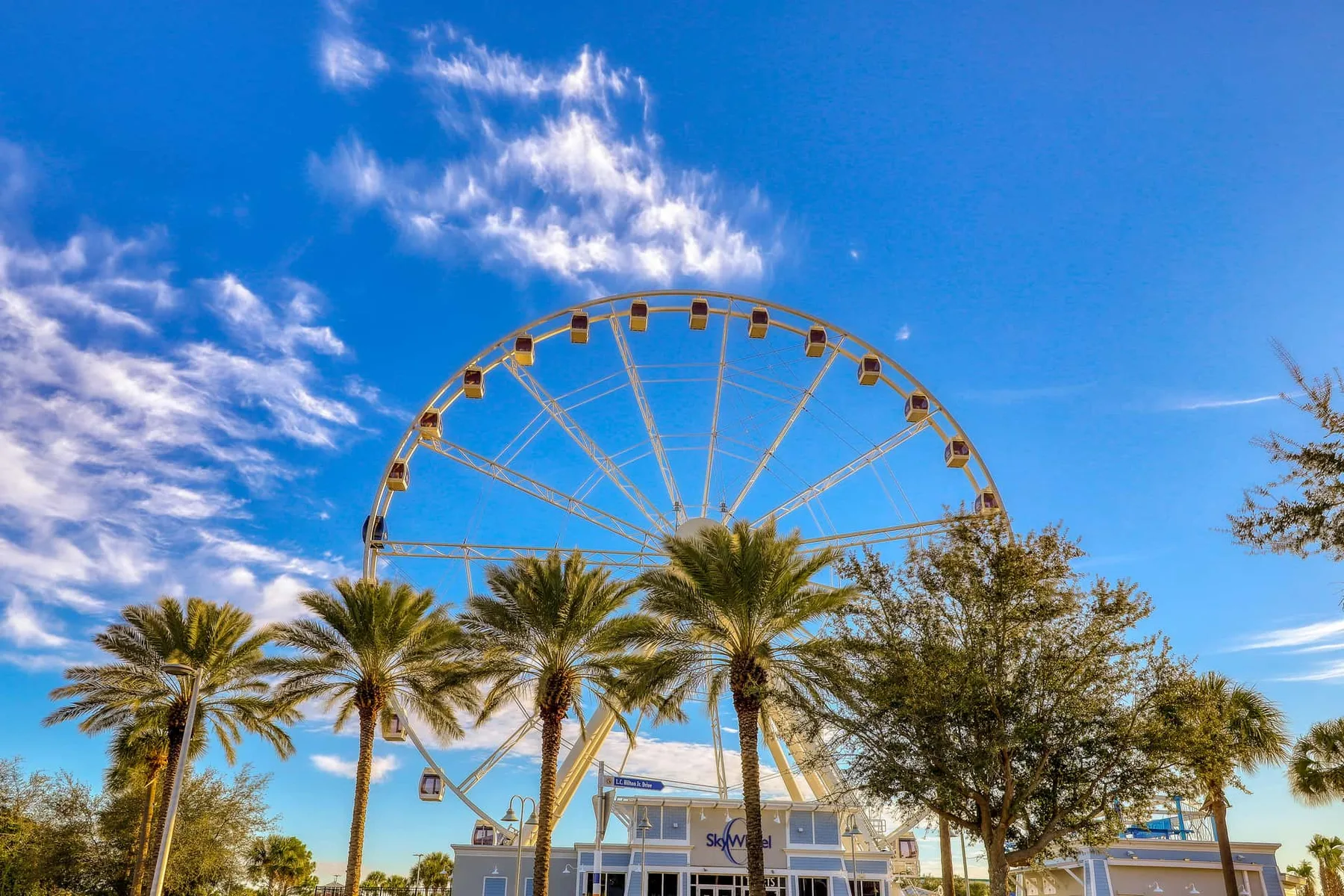 A large Ferris wheel rises behind palm trees beneath a bright blue sky.