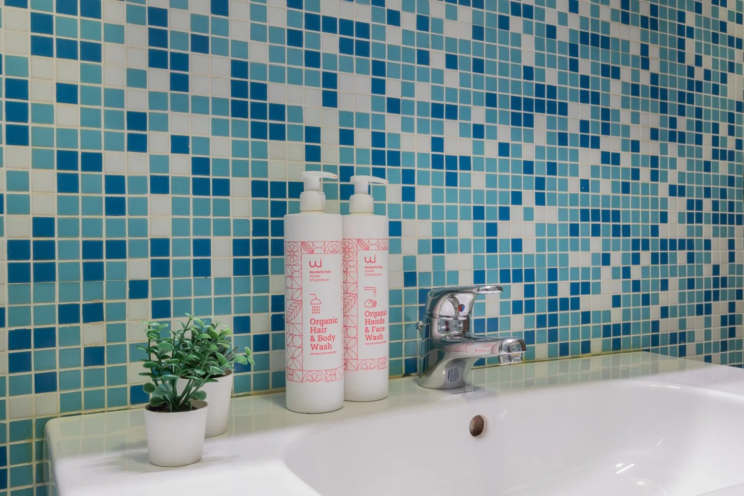 Zona de lavabo de baño con azulejos, dos botellas y una pequeña planta en maceta.