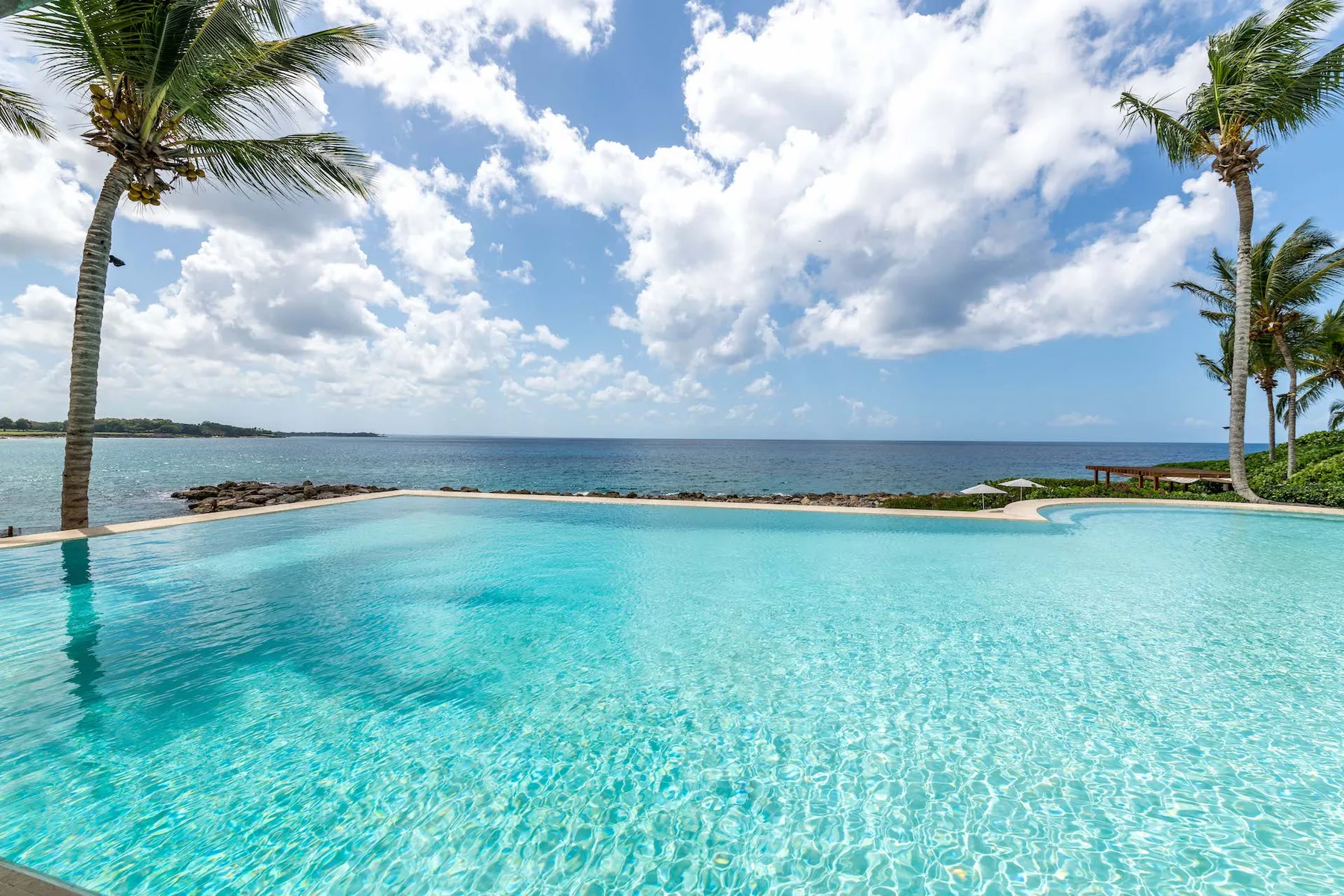 An infinity pool overlooks the ocean, framed by palm trees.