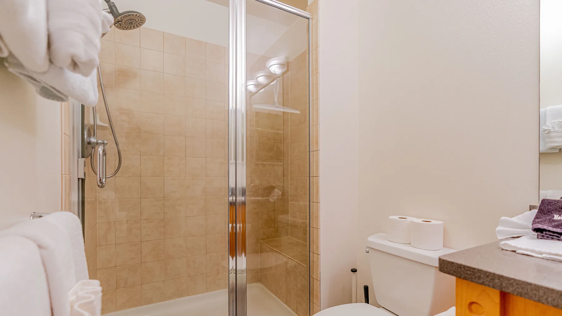 Un baño con ducha de vidrio, inodoro y tocador.