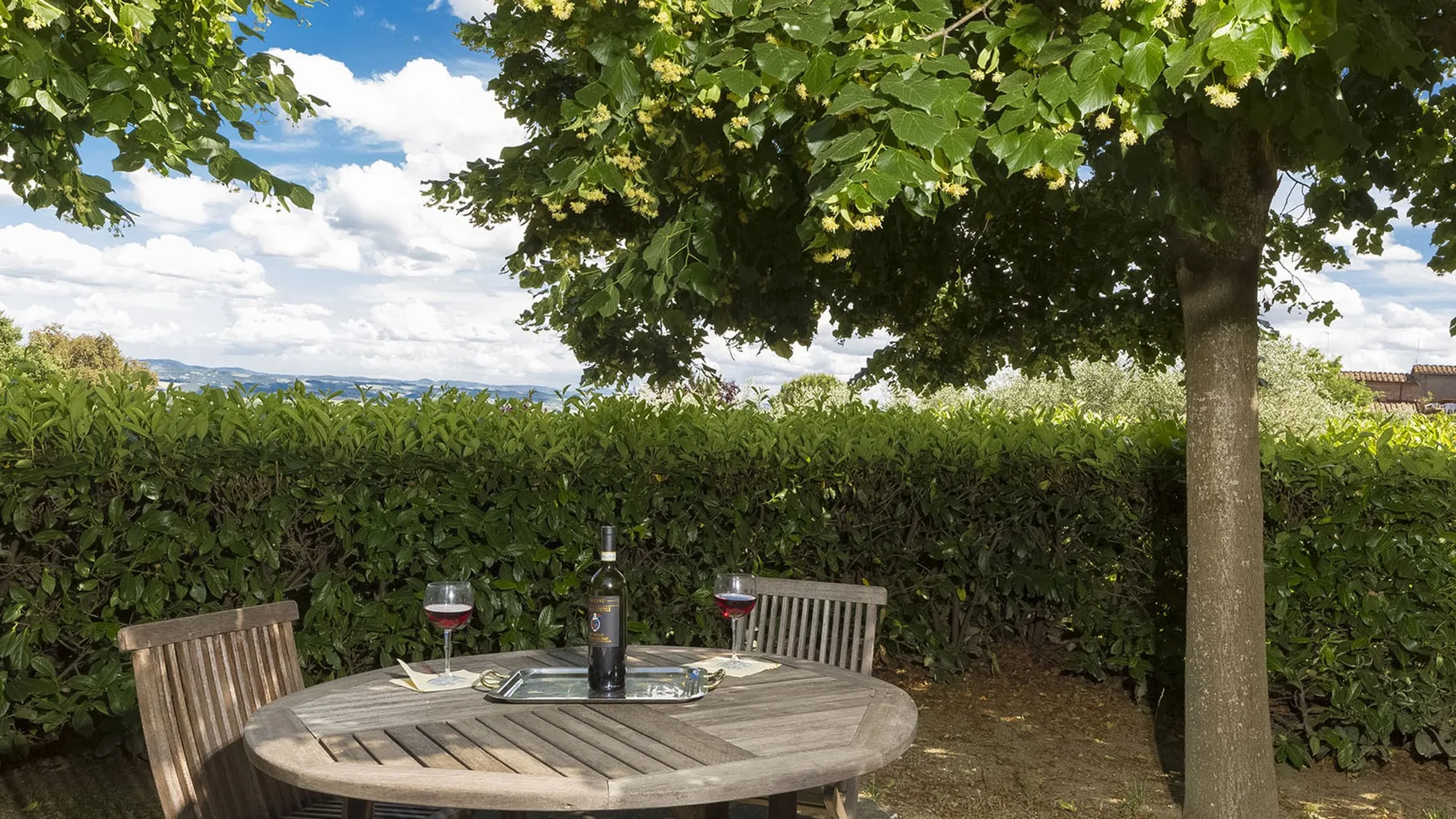 Una mesa de comedor al aire libre está bajo un árbol frondoso junto a un seto.