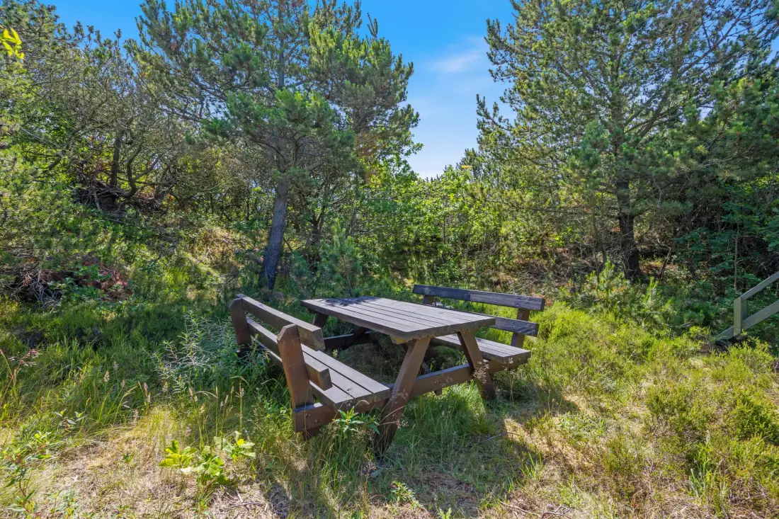 Una zona de picnic al aire libre con una mesa de madera y bancos entre los árboles.