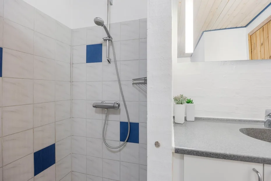 Zona de ducha alicatada junto a un tocador de baño con encimera y plantas pequeñas.