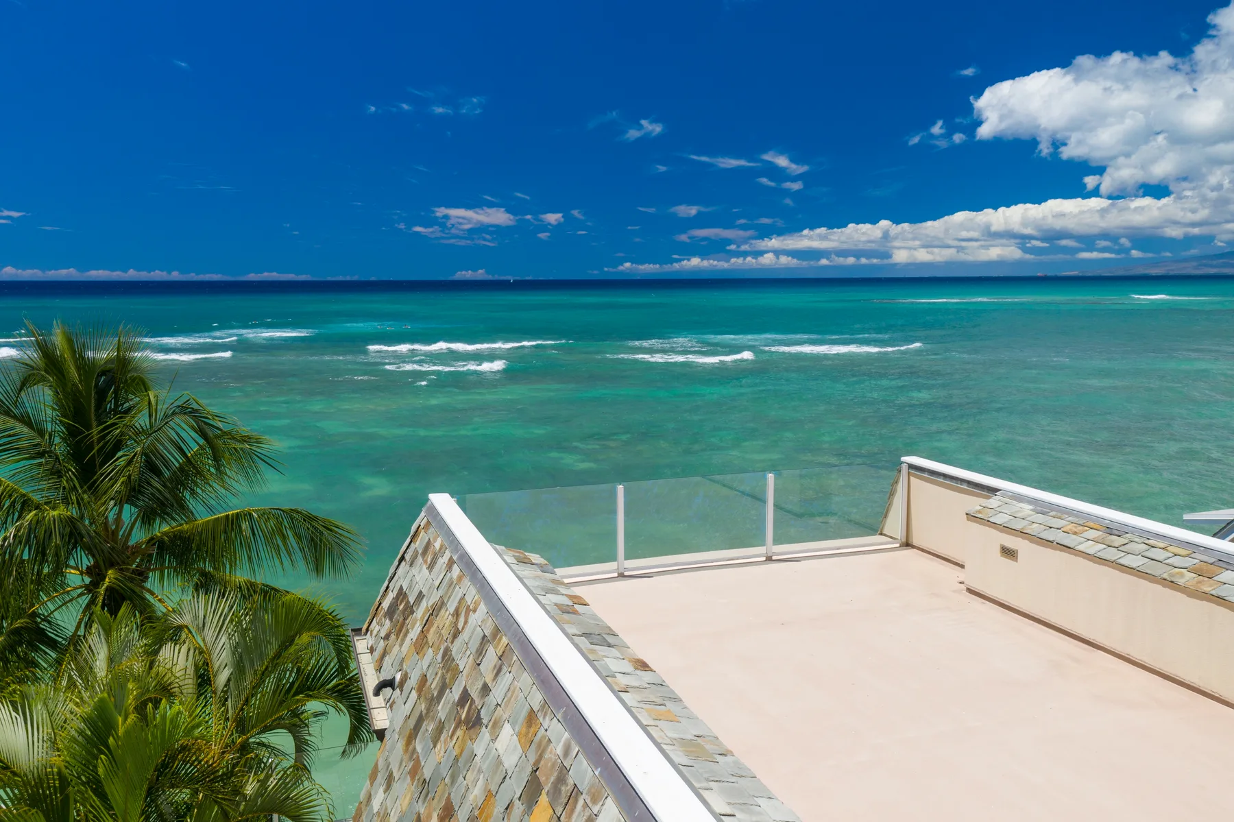 A rooftop terrace overlooks the ocean, with palm trees beside the building.