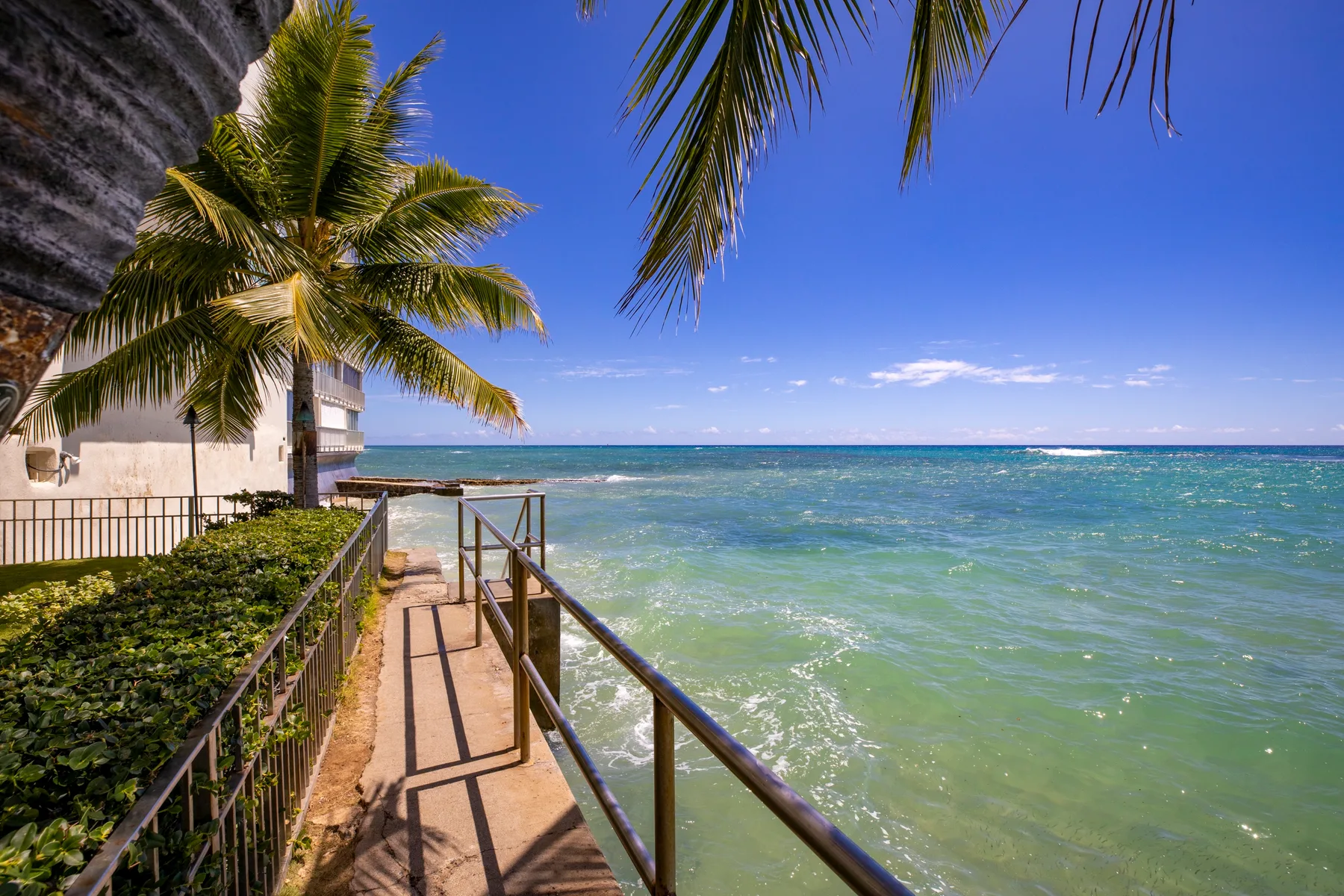 A coastal walkway runs beside the sea beneath palm trees.