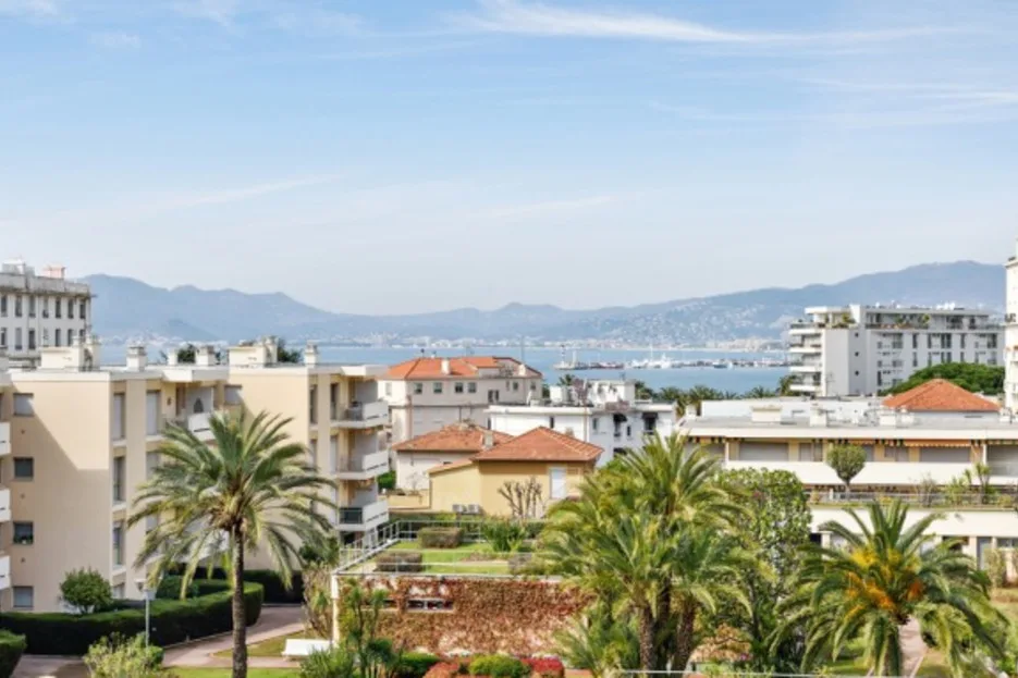 Residential buildings and palm trees overlook a distant bay and mountains.