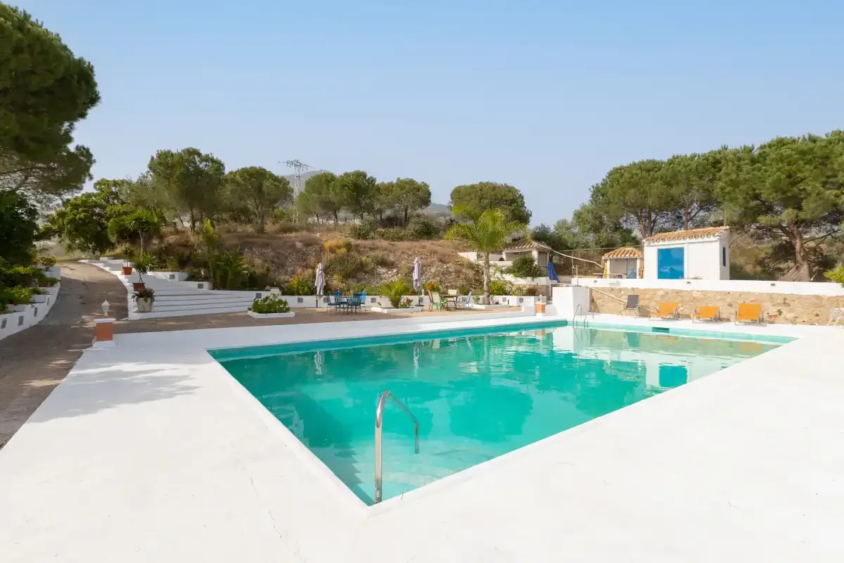 An outdoor swimming pool is surrounded by a pale paved deck and trees.