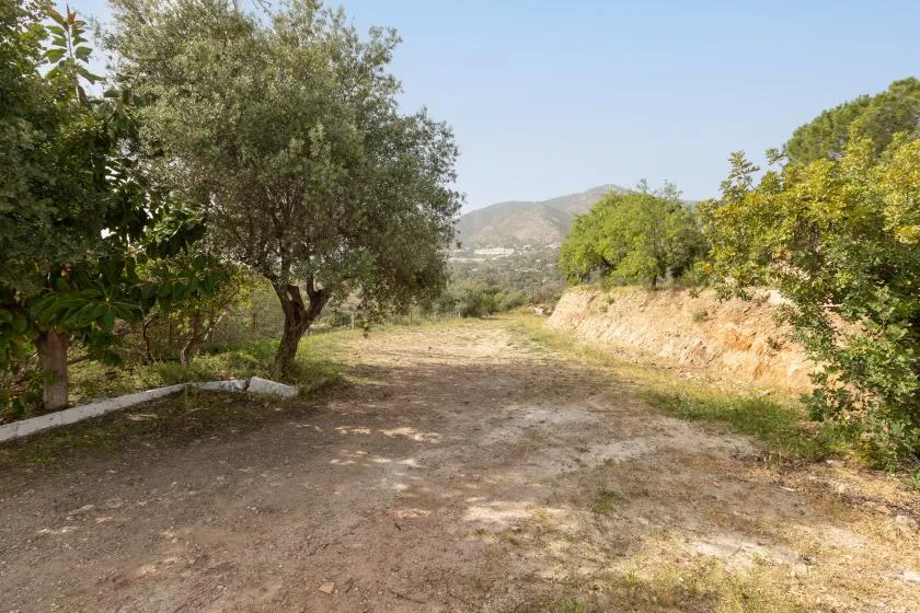 A dirt path runs between trees and shrubs toward distant hills.