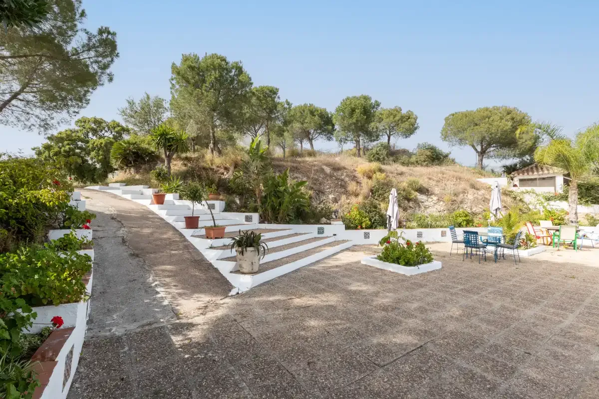An outdoor patio with stepped white seating and trees on the hillside.