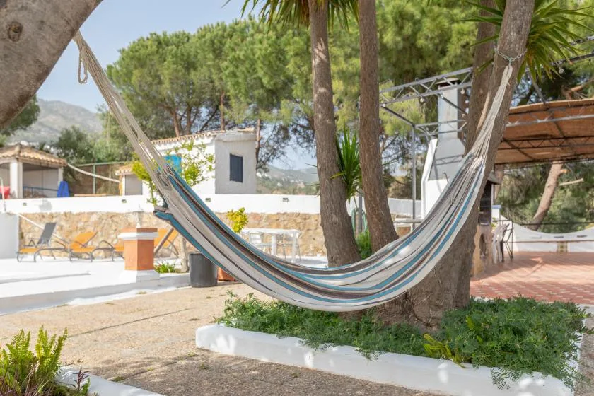 A striped hammock hangs between trees in a sunny outdoor courtyard.