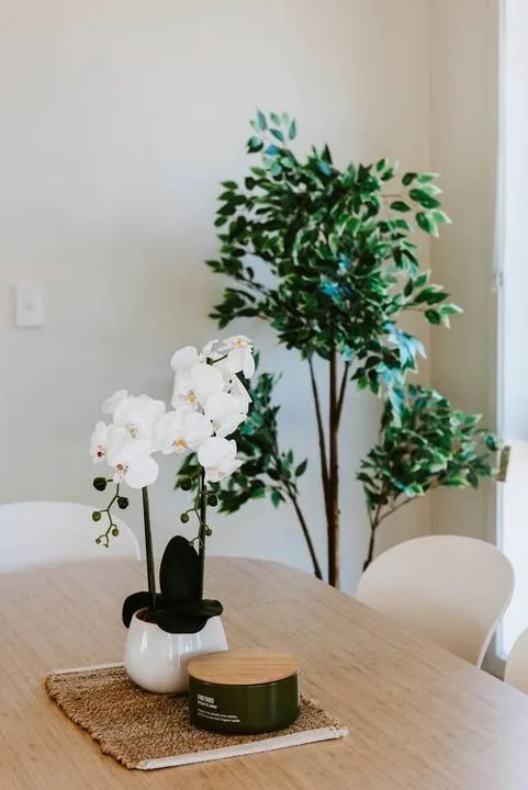 A dining table holds a white orchid and a small candle beside leafy plants.