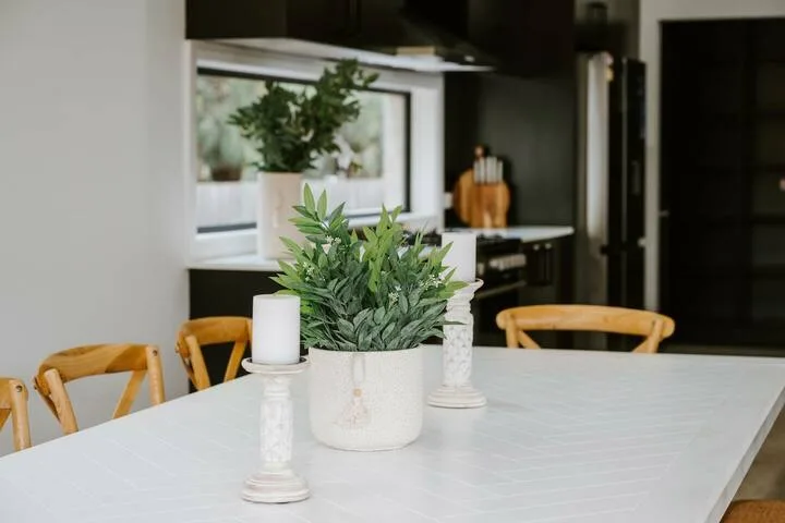 A dining table with a leafy plant sits in front of a modern kitchen.