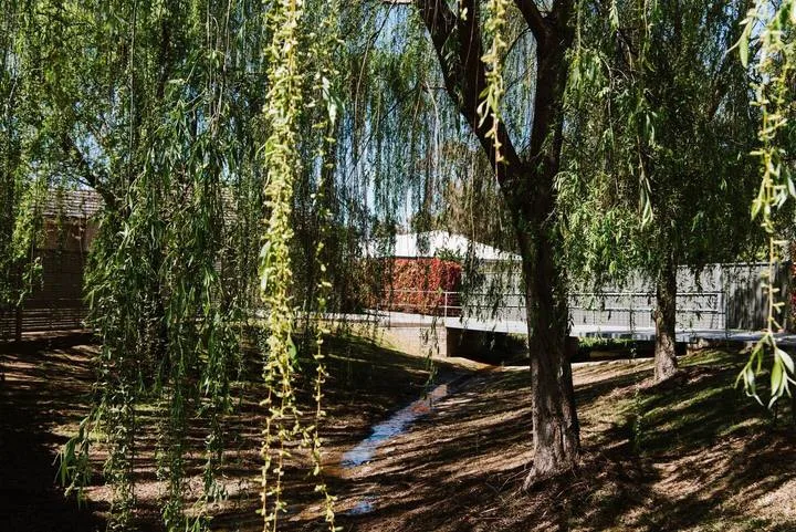 A shaded outdoor garden with a small stream beneath leafy trees.