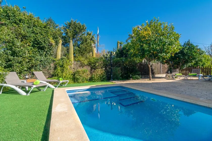 Piscina al aire libre junto a un césped, con tumbonas y árboles.