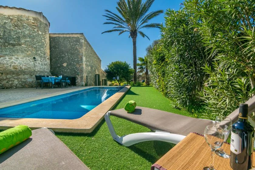 Una piscina junto a un césped verde, con una palmera alta y asientos de jardín.