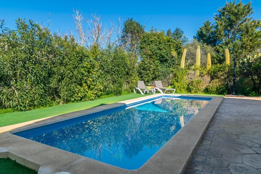 Una piscina al aire libre está junto a un patio pavimentado y un jardín frondoso.