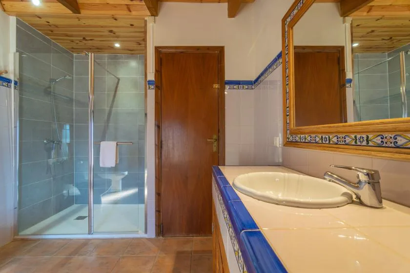 Un baño alicatado con ducha de vidrio, puerta de madera y lavabo.