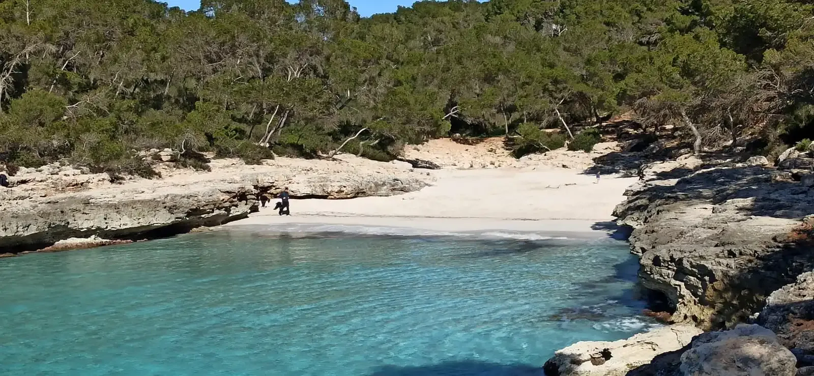 Una pequeña cala con agua turquesa clara, una orilla de arena y árboles.