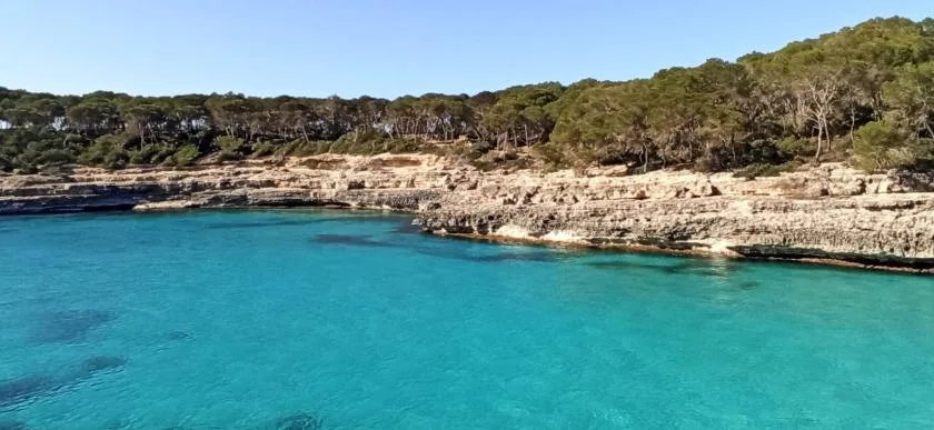Una cala costera de aguas turquesas bordea una orilla rocosa cubierta de árboles.