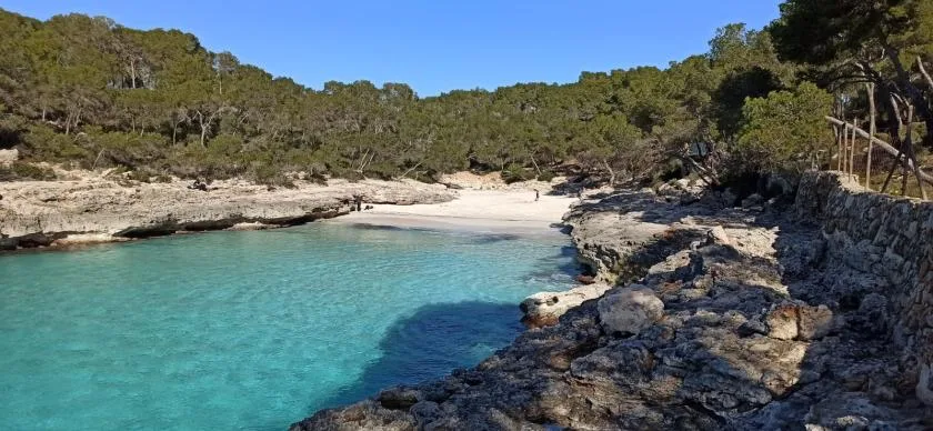 Una cala de aguas turquesas y claras se curva entre orillas rocosas y colinas arboladas.