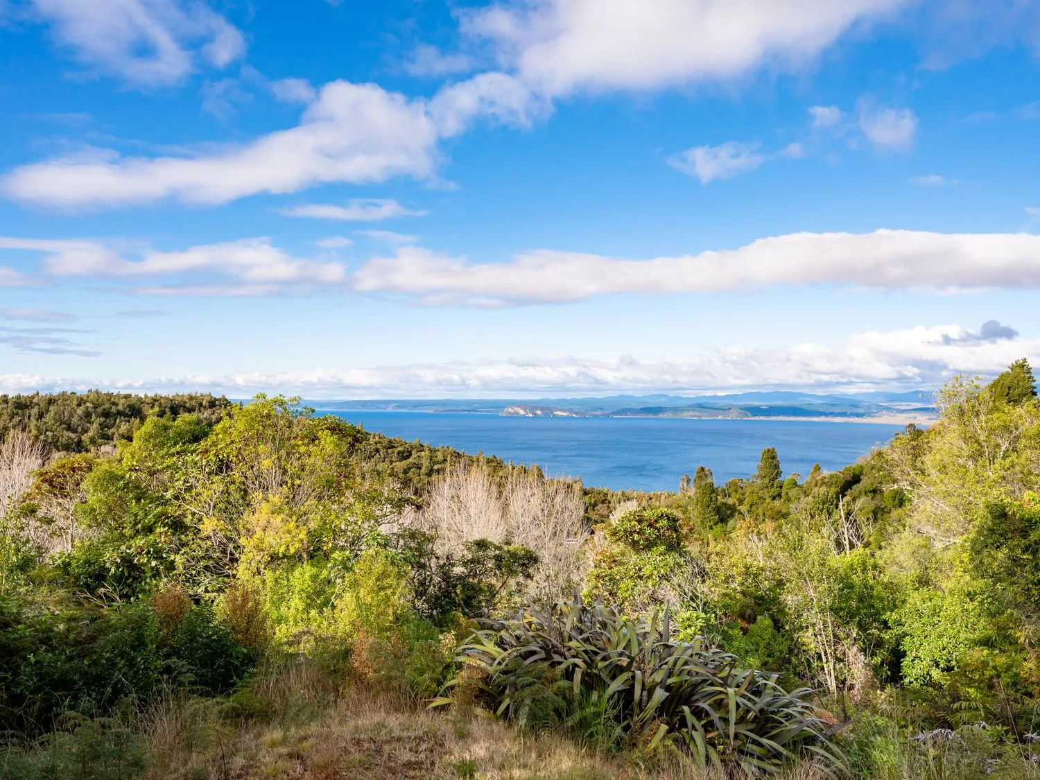 A lake is visible beyond dense green vegetation beneath a partly cloudy sky.