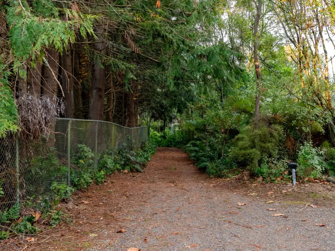 A dirt and gravel path through a forested area with trees on both sides and a chain link fence on the left side at Lake View Lodge - Taupo Holiday Home in Pukawa Bay