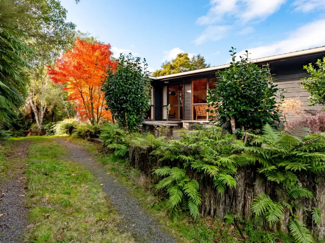 A pathway leading to a house surrounded by bushes and a tree with orange leaves at Lake View Lodge - Taupo Holiday Home in Pukawa Bay