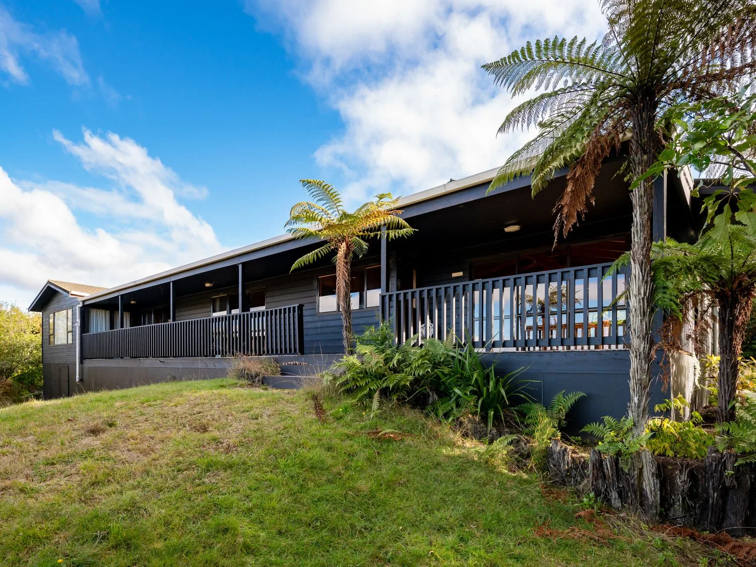 A black wooden house with a porch and ferns in front at Lake View Lodge - Taupo Holiday Home in Pukawa Bay