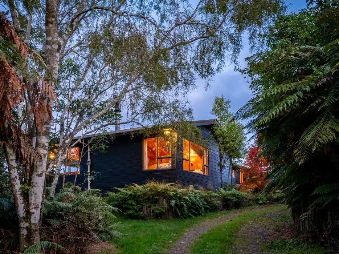A dark-sided house glows with warm light among trees and ferns.