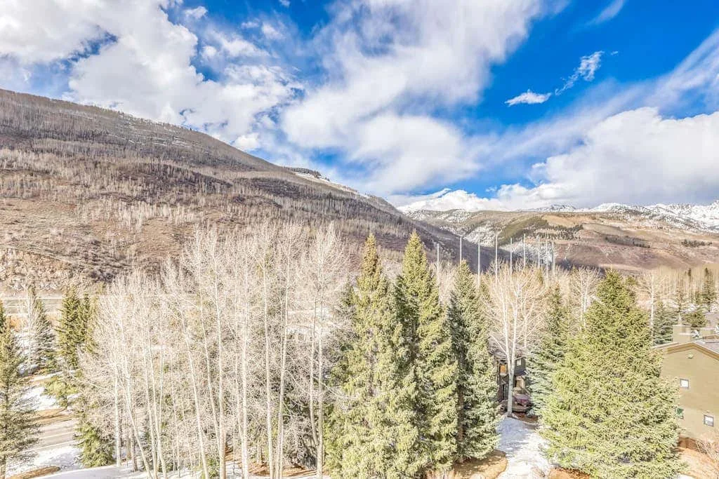 Mountain landscape with evergreen trees beneath a partly cloudy blue sky.