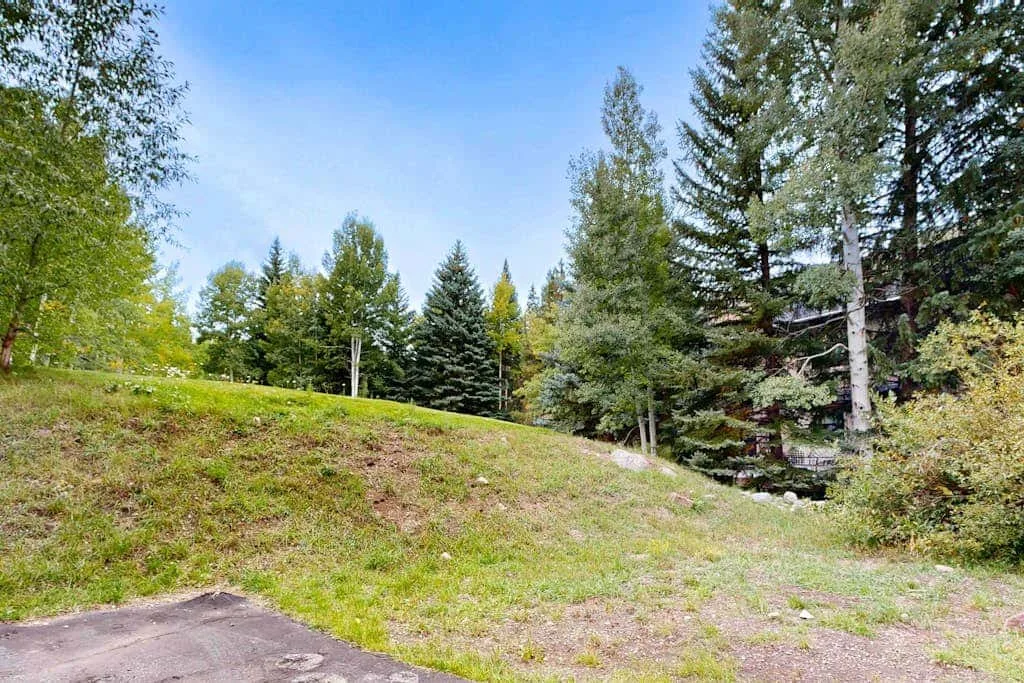A grassy hillside rises toward a line of trees beneath a blue sky.