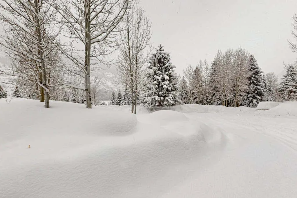 A snow-covered outdoor path curves past leafless trees and evergreens.